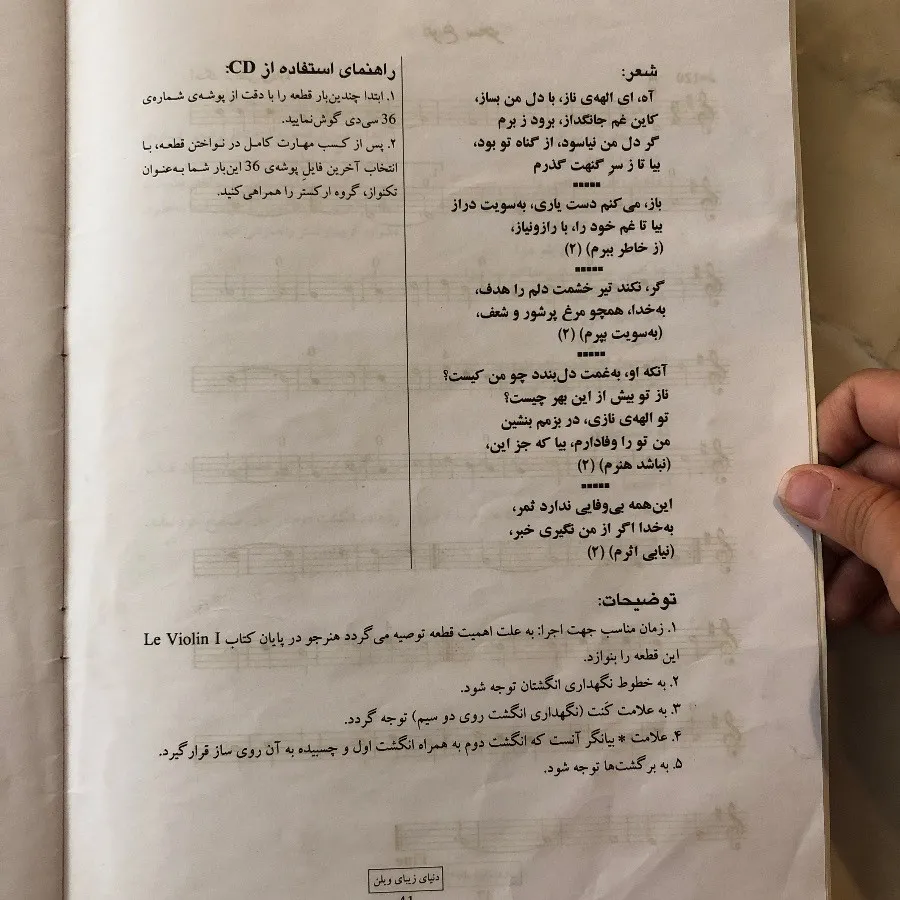 دنیای زیبای ویلن