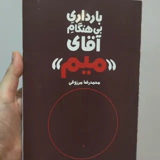 بارداری اقای میم
