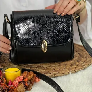 کیف دوشی مجلسی