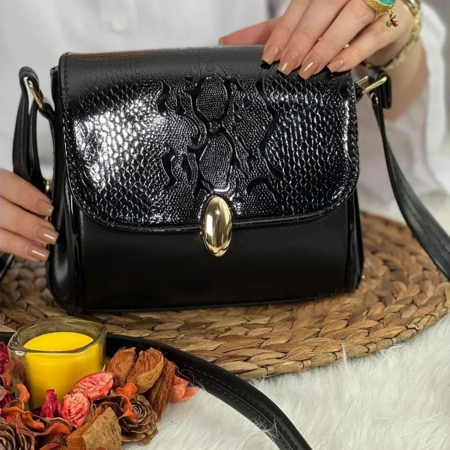 کیف دوشی مجلسی