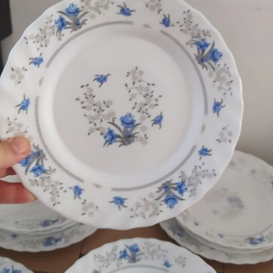 ظرف غذاخوری