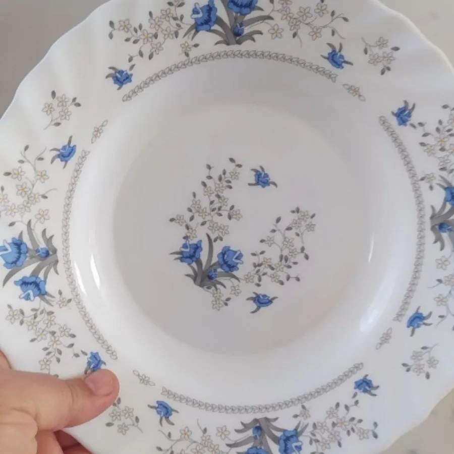 ظرف غذاخوری