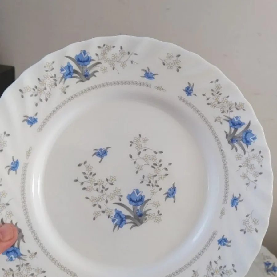 ظرف غذاخوری