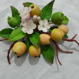 شاخه سیب