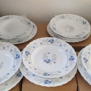 ظرف غذاخوری