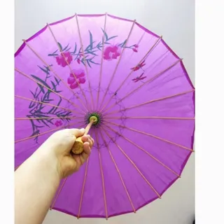 چتر چینی