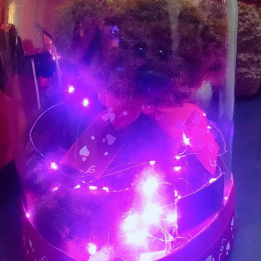 پک هدیه ولن