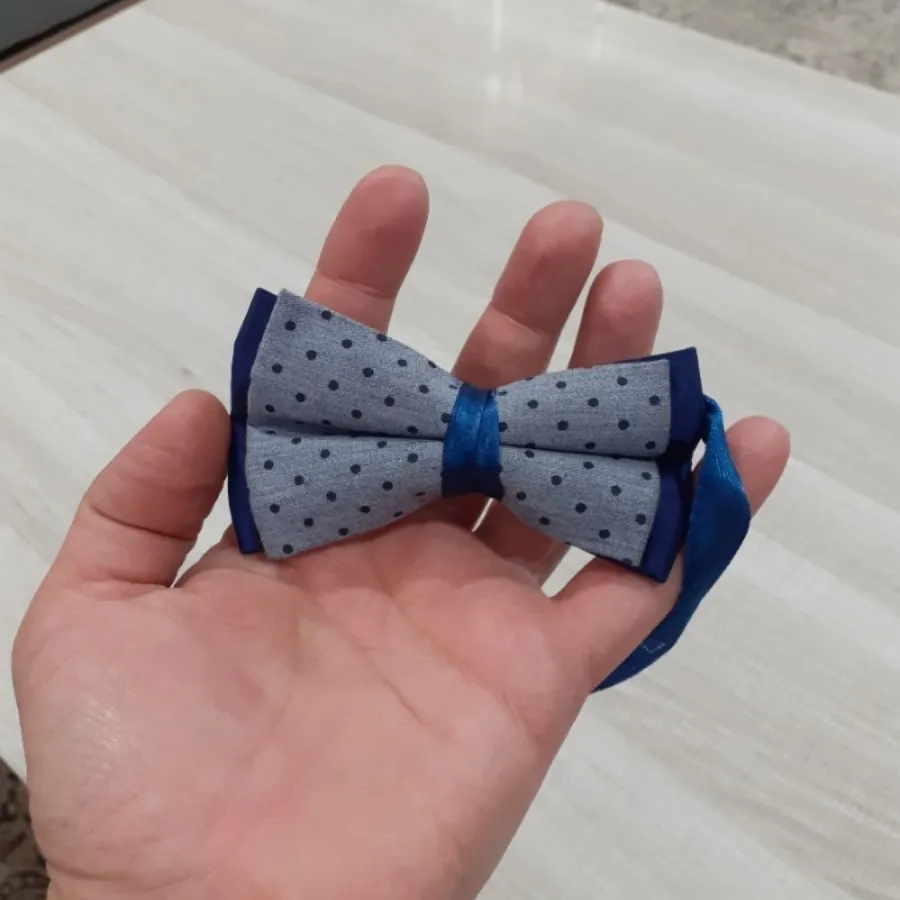 پاپیون پسرونه