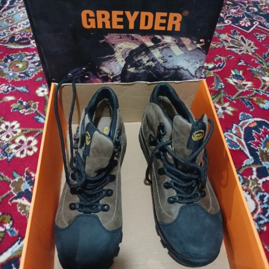 کفش greyder