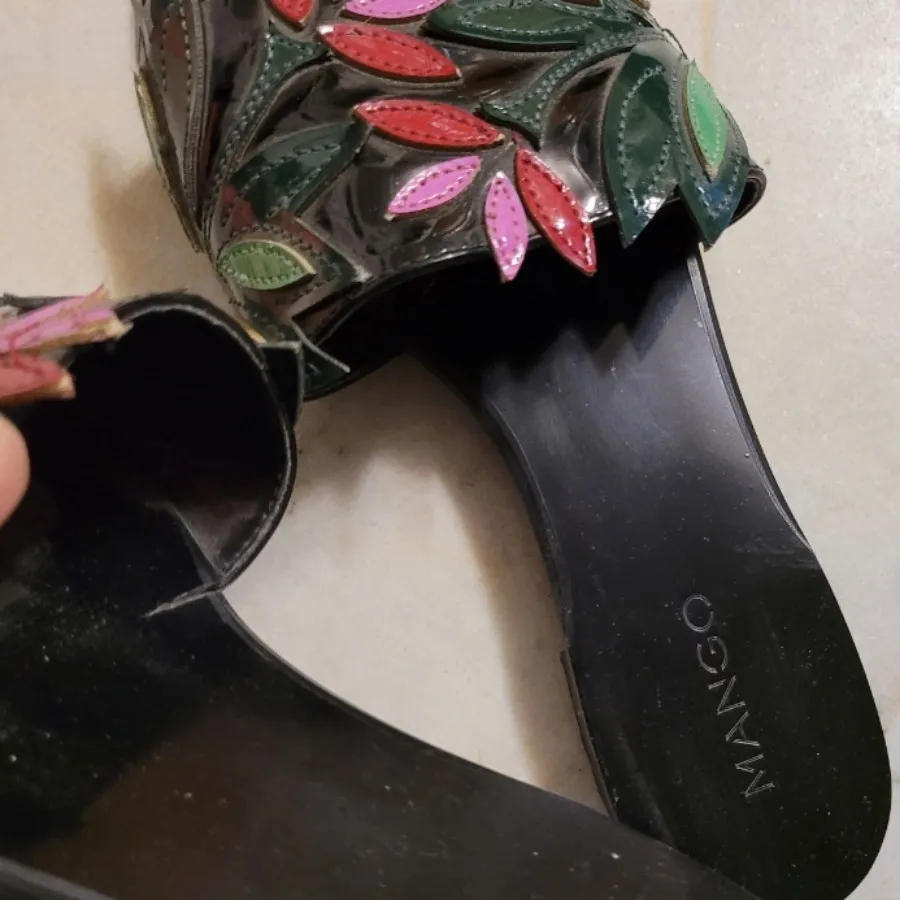 صندل منگو. Mango
