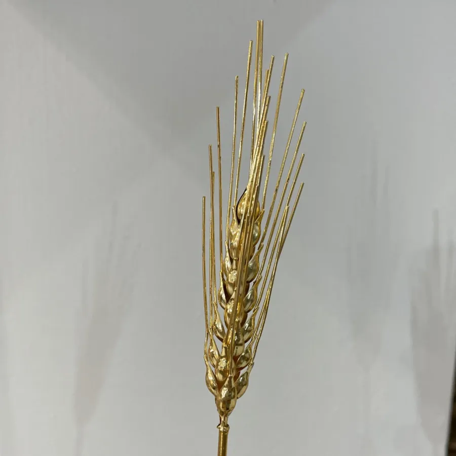 گندم برنجی‌ طلایی