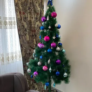 درخت کریسمس خارجی