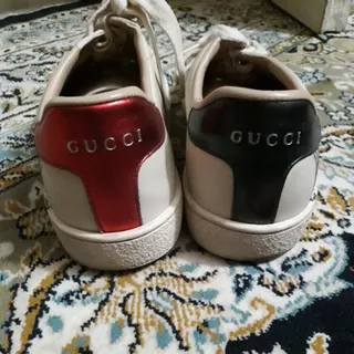 Gucci اصل