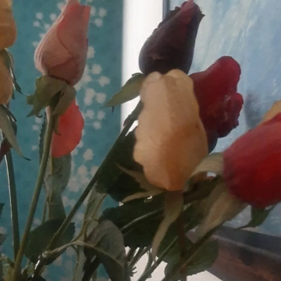 دکوری