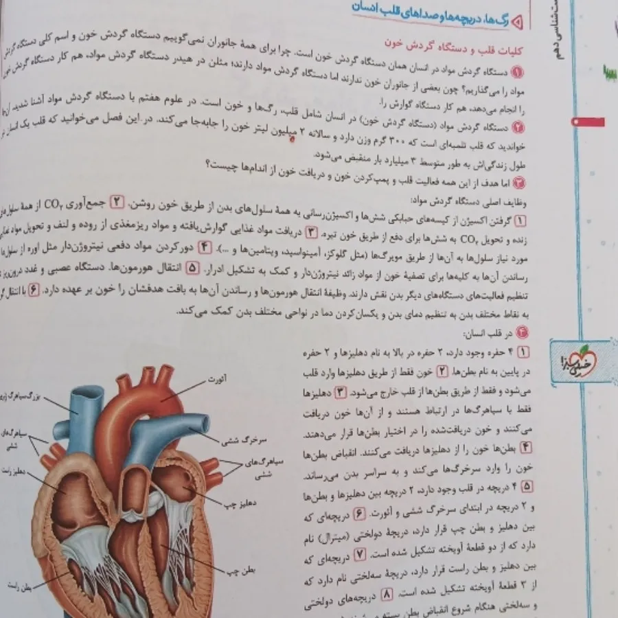 کتاب زیست خیلی سبز دهم