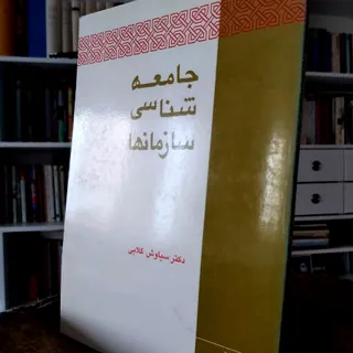 جامعه شناسی سازمان ها