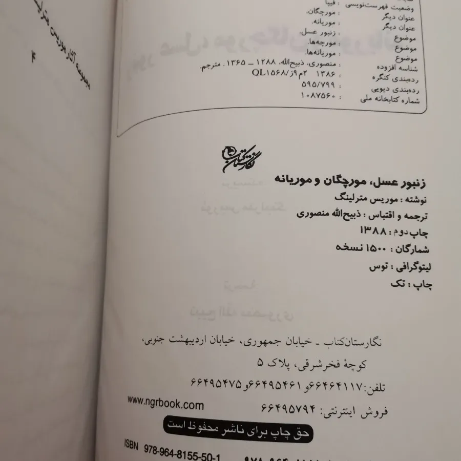 زنبور عسل مورچگان موریانه