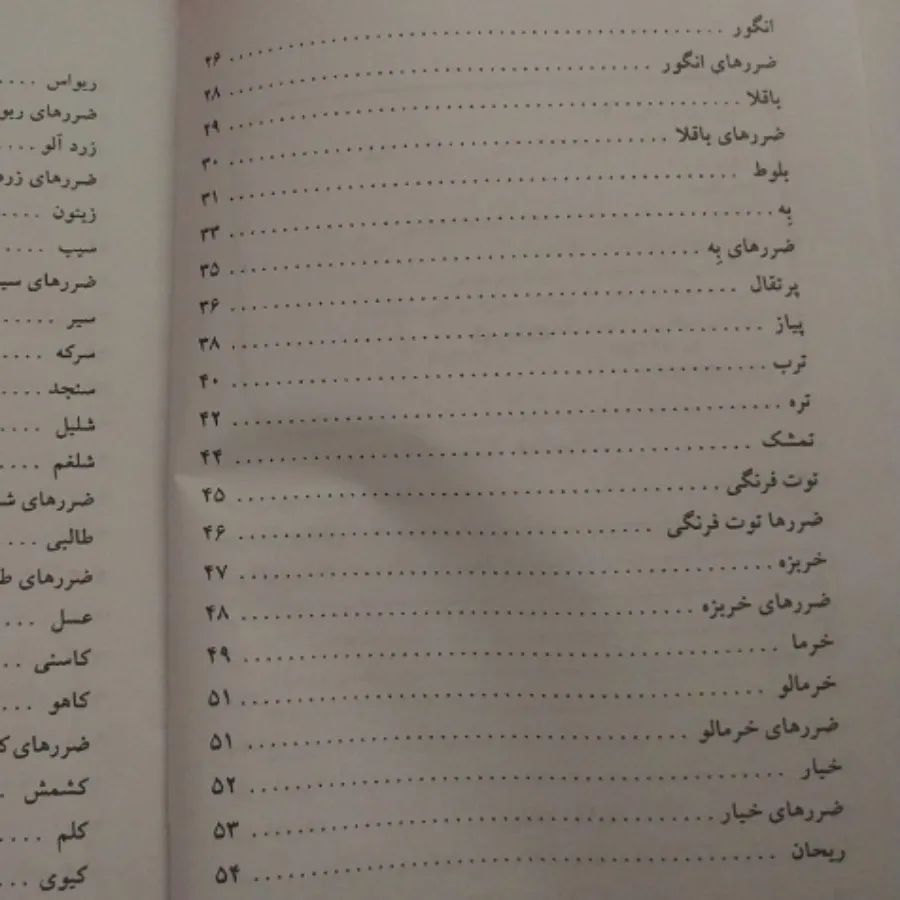 میوه درمانی