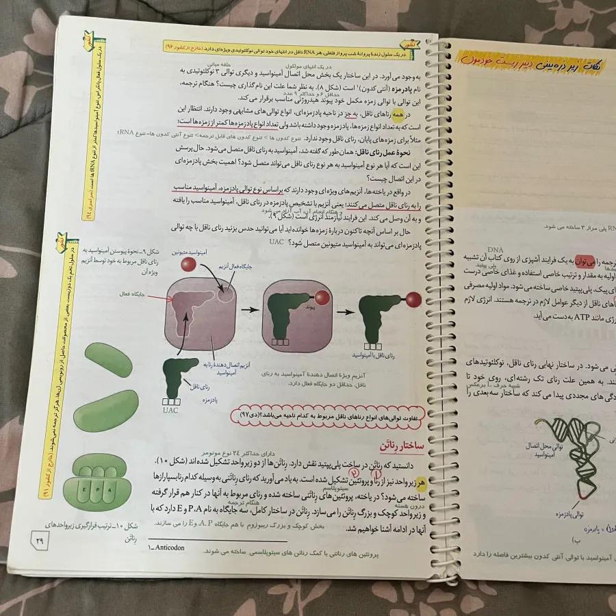 کتاب زیست دوازدهم