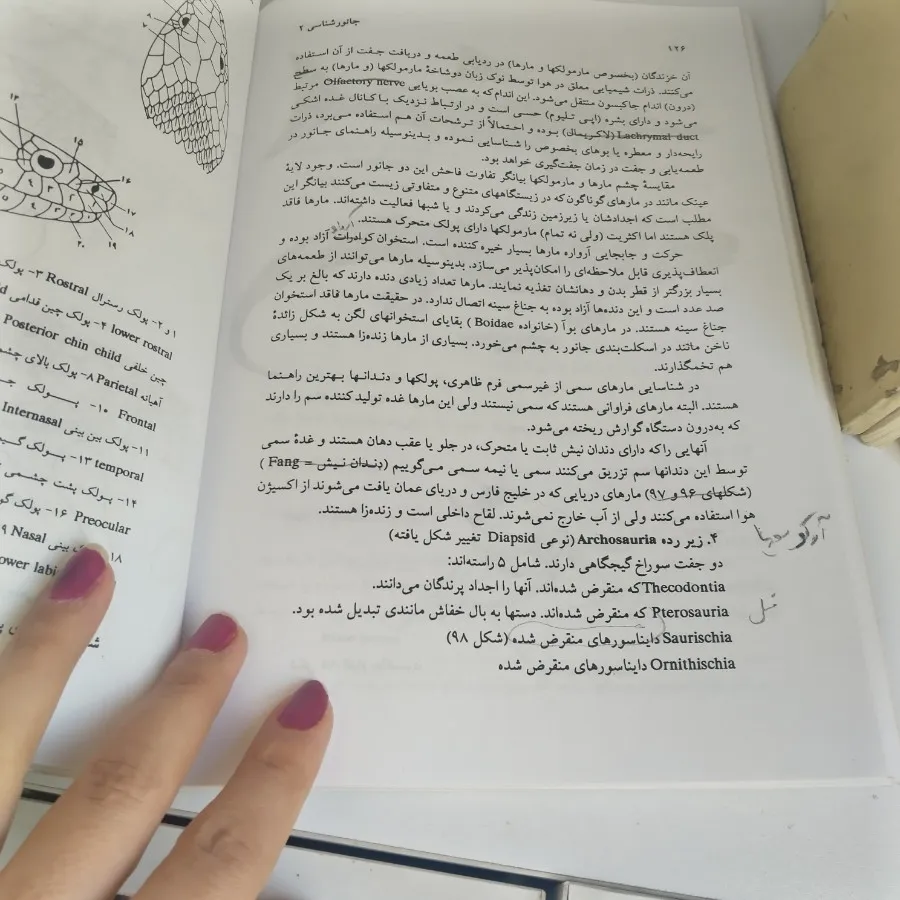 کتاب جانورشناسی