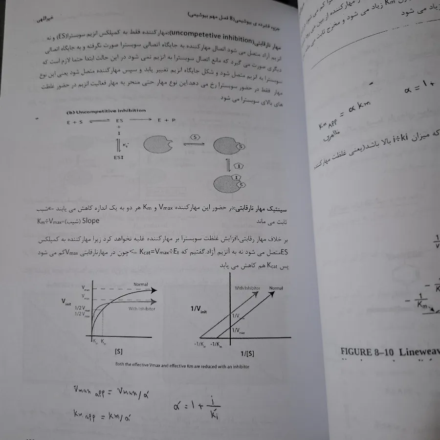 جزوه جامع بیوشیمی