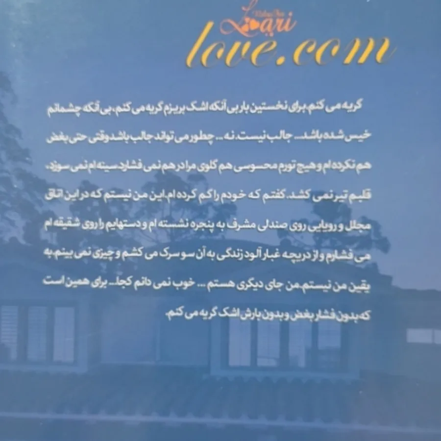 کتاب رمان عشق دات کام