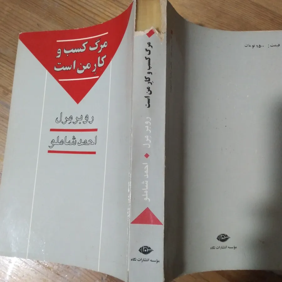 کتاب(مرگ کسب وکارِمن است)