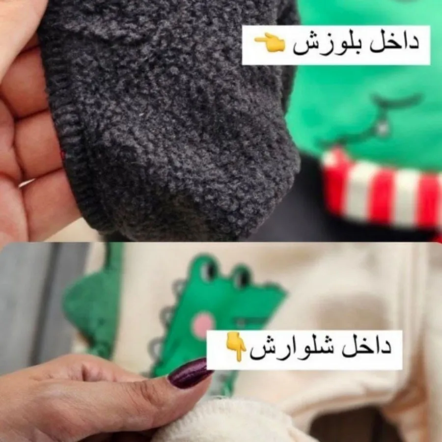 ست دایناسور داخل کرک