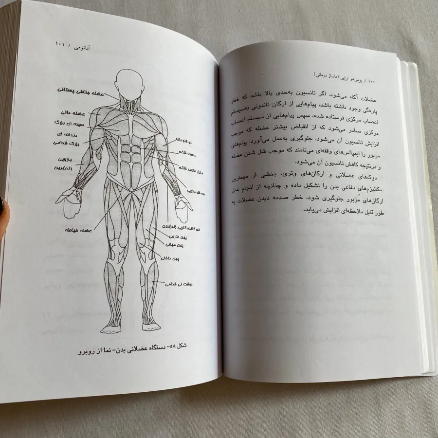 کتاب ماساژ درمانی