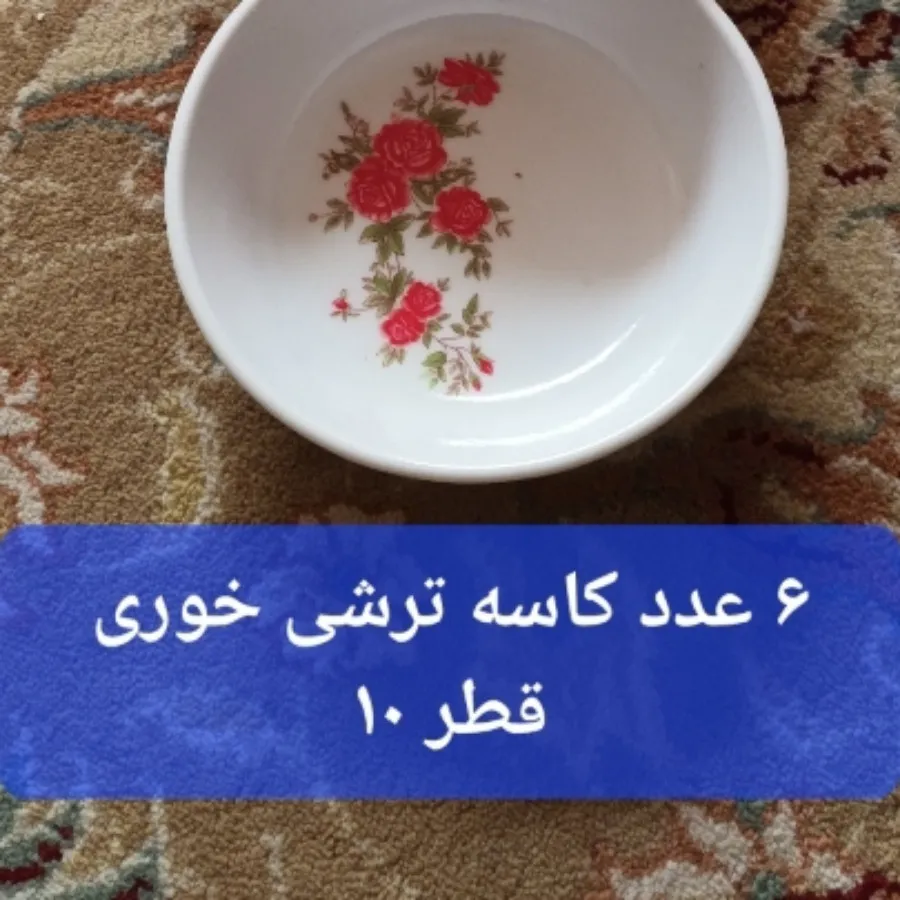 6عدد کاسه ترشی گلسرخی