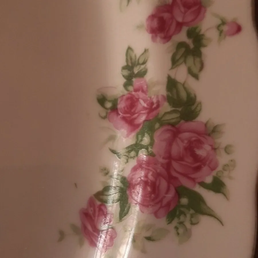ظرف