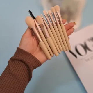 براش حرفه ای