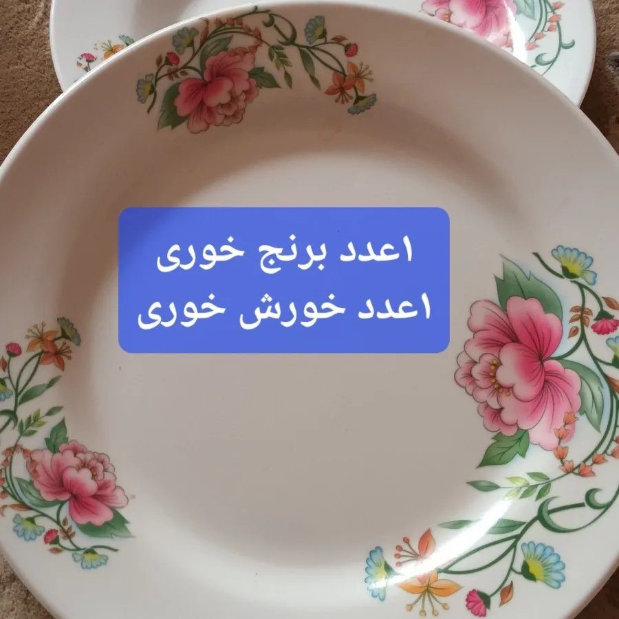 بشقاب  ملامین نو دو عدد