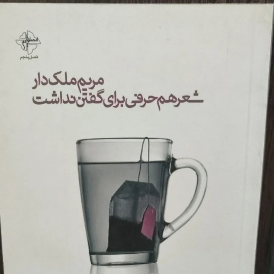 شعر هم حرفی برای گفتن ندا
