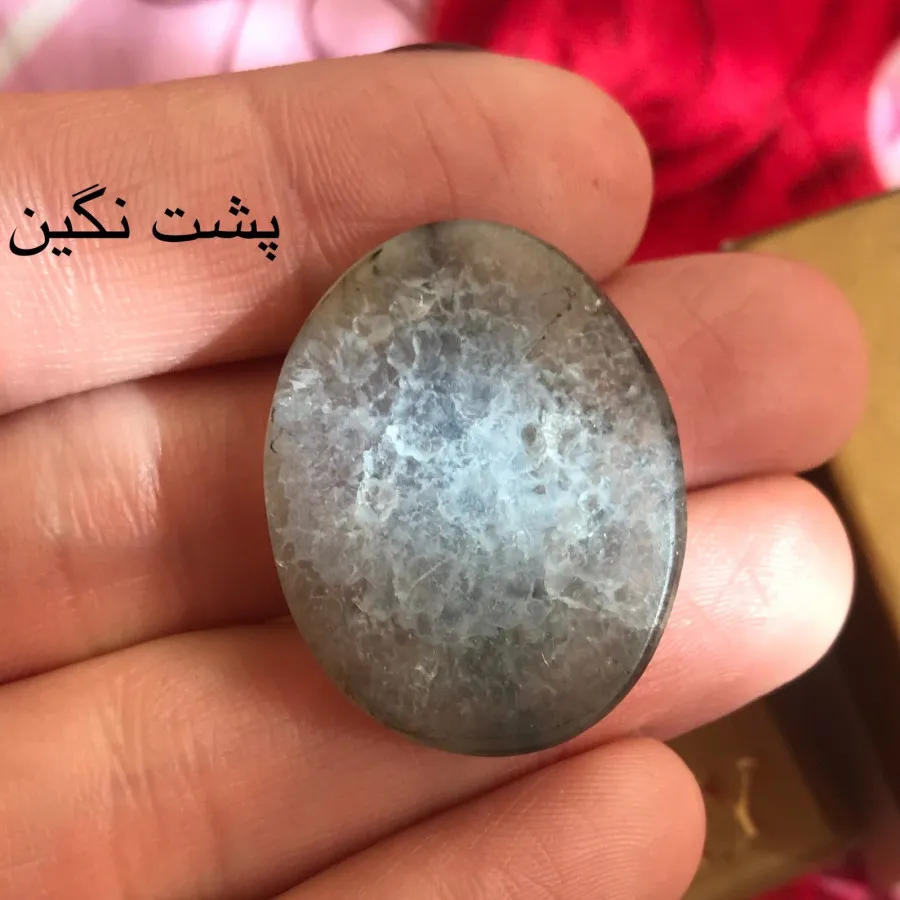 عققق شجر تک درخت کلکسیونی