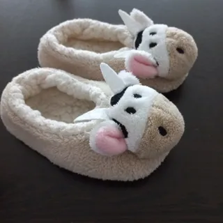 پاپوش