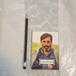 سید مرتضی آوینی