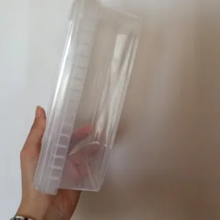 ظرف نگهدارنده