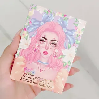 پالت هایلایتر