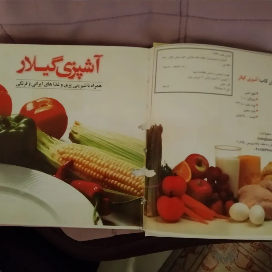 آشپزی گیلار کد 18