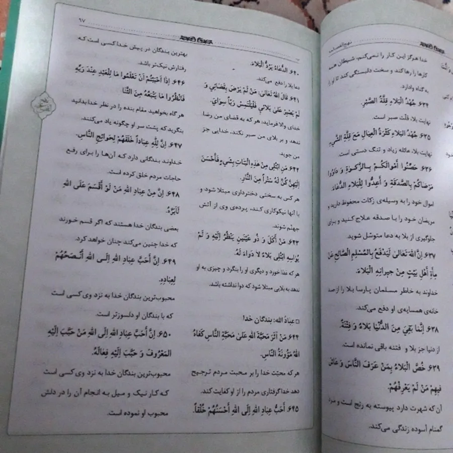 کتاب نهج الفصاحه