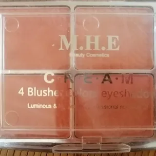 رژگونه جامد پالتی