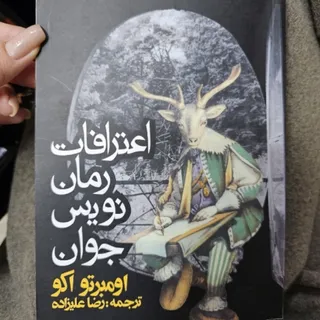 اعترافات رمان نویس جوان