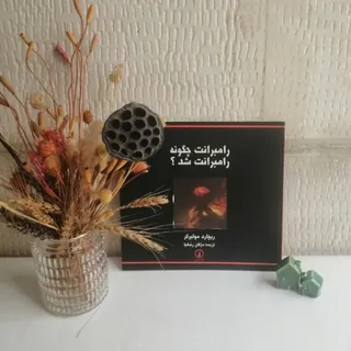 رامبرانت چگونه رامبراندشد