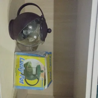 قوری