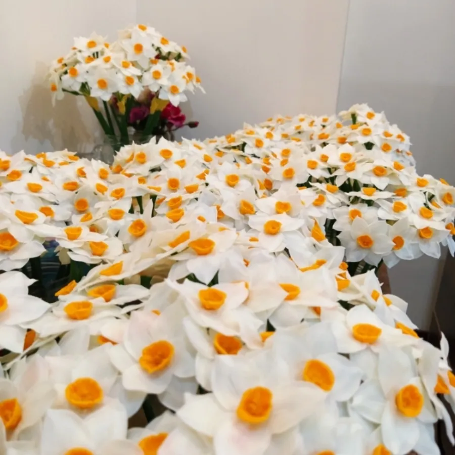 شاخه گل نرگس