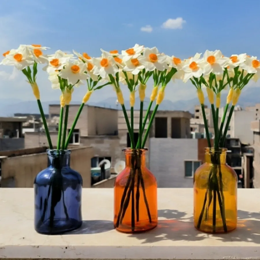 شاخه گل نرگس