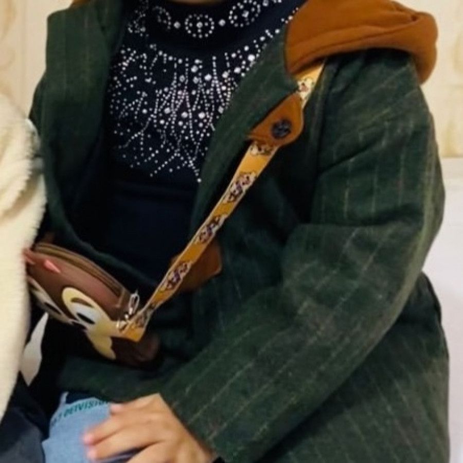 پالتو وارداتی