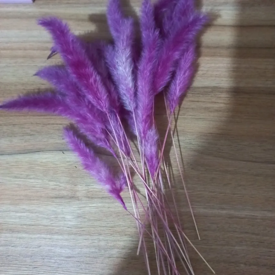 گل مصنوعی سرخابی