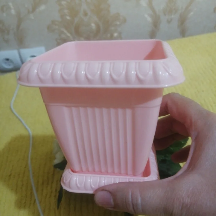 بوته گل شمعدانی